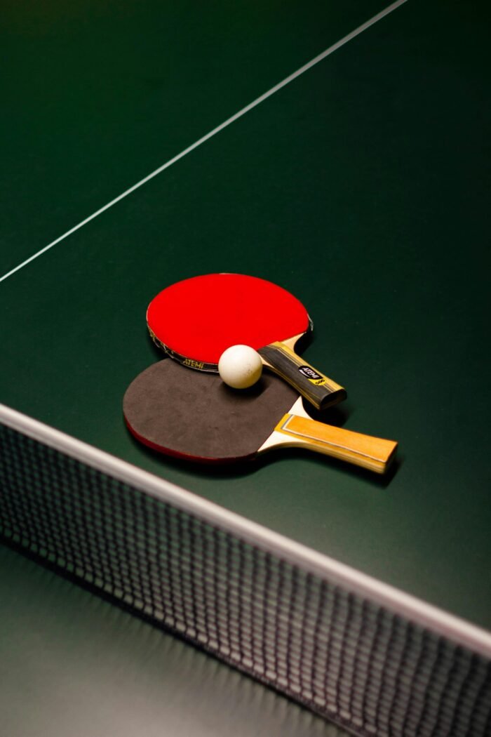 Filet de Tennis de Table