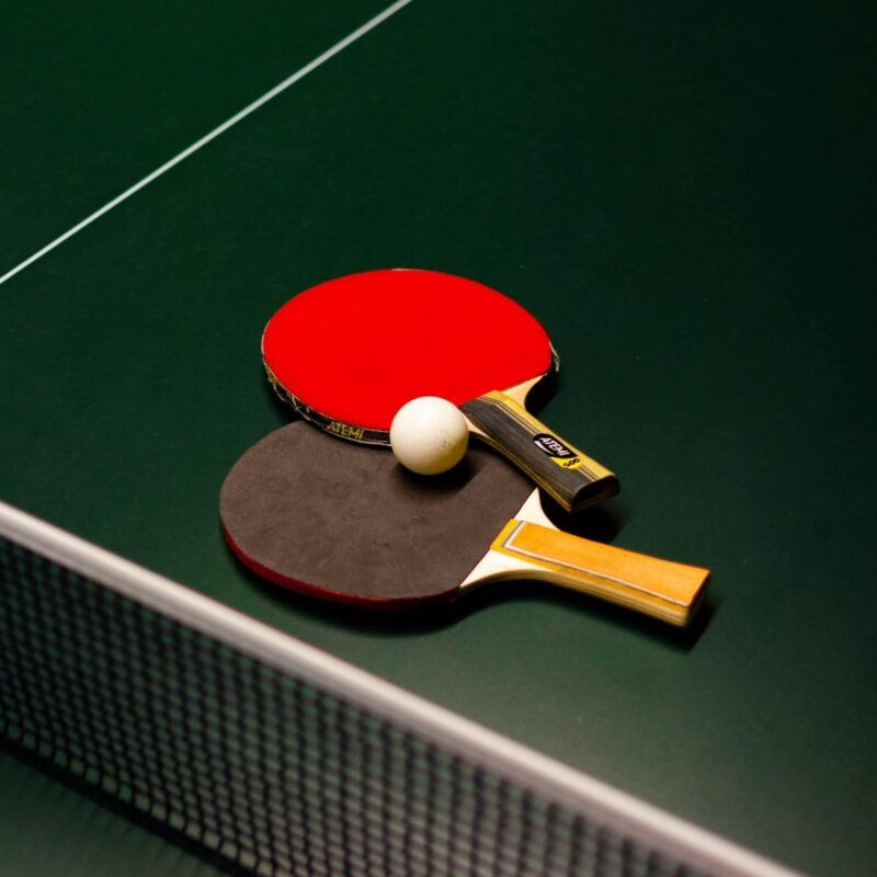Filet de Tennis de Table